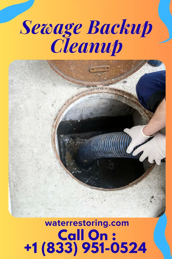 Sewage Backup Cleanup in St. Ann, MO